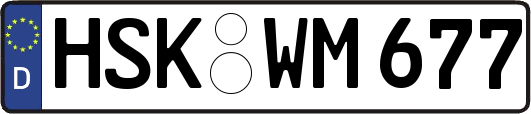 HSK-WM677