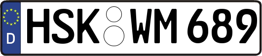 HSK-WM689