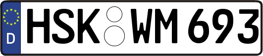 HSK-WM693