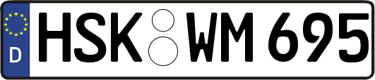 HSK-WM695