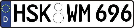 HSK-WM696
