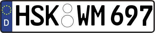 HSK-WM697