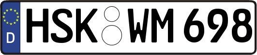 HSK-WM698