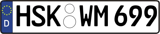 HSK-WM699