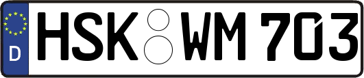 HSK-WM703