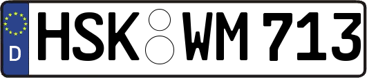 HSK-WM713
