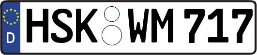HSK-WM717