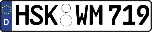 HSK-WM719
