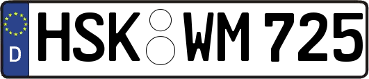 HSK-WM725