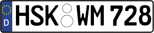 HSK-WM728
