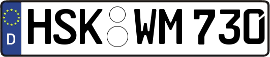 HSK-WM730