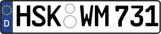 HSK-WM731