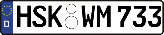 HSK-WM733