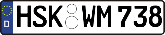 HSK-WM738