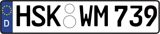 HSK-WM739