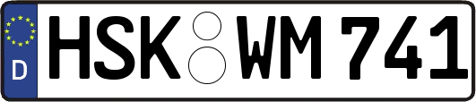 HSK-WM741