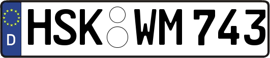 HSK-WM743