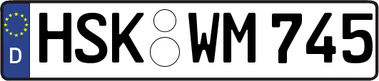 HSK-WM745