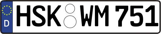 HSK-WM751