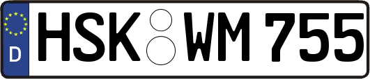 HSK-WM755