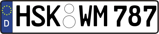 HSK-WM787