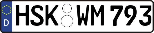 HSK-WM793