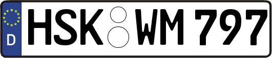 HSK-WM797