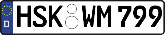 HSK-WM799