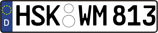 HSK-WM813