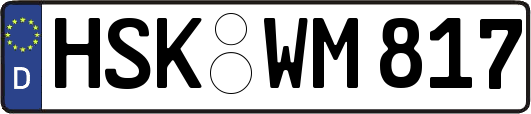 HSK-WM817
