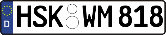 HSK-WM818