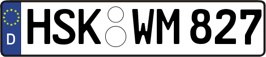 HSK-WM827