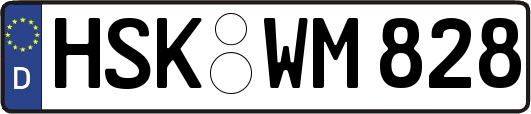 HSK-WM828