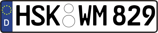 HSK-WM829