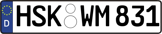 HSK-WM831