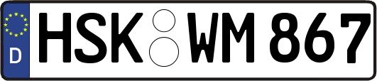 HSK-WM867