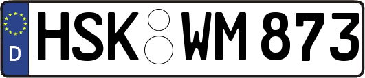 HSK-WM873