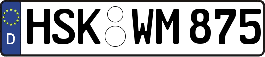 HSK-WM875