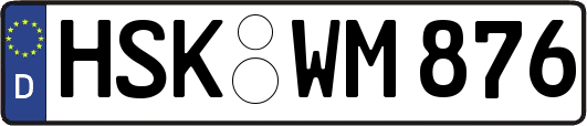 HSK-WM876