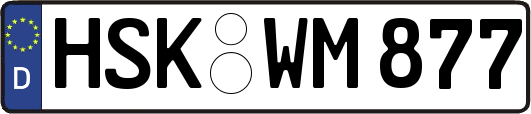 HSK-WM877