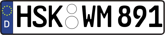 HSK-WM891