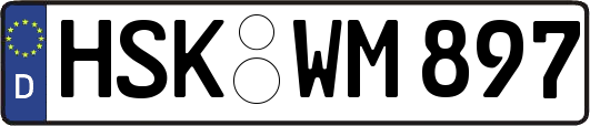 HSK-WM897
