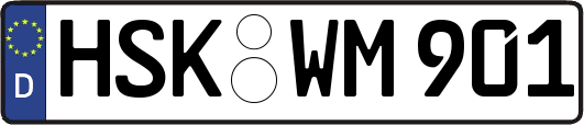 HSK-WM901