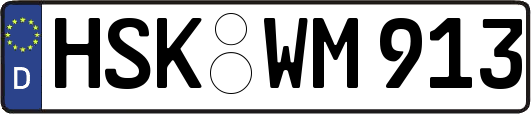 HSK-WM913