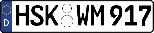 HSK-WM917