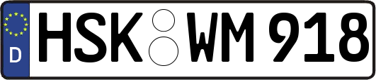 HSK-WM918