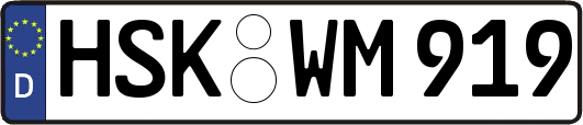 HSK-WM919