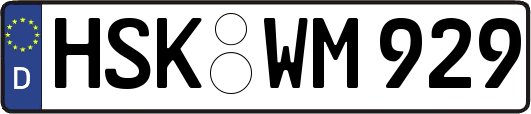 HSK-WM929