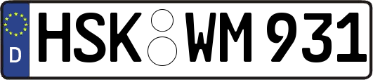 HSK-WM931