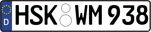 HSK-WM938
